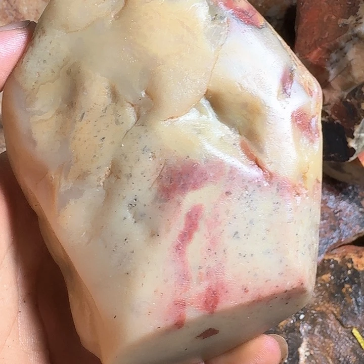 上***室寿山石寿山石的种类