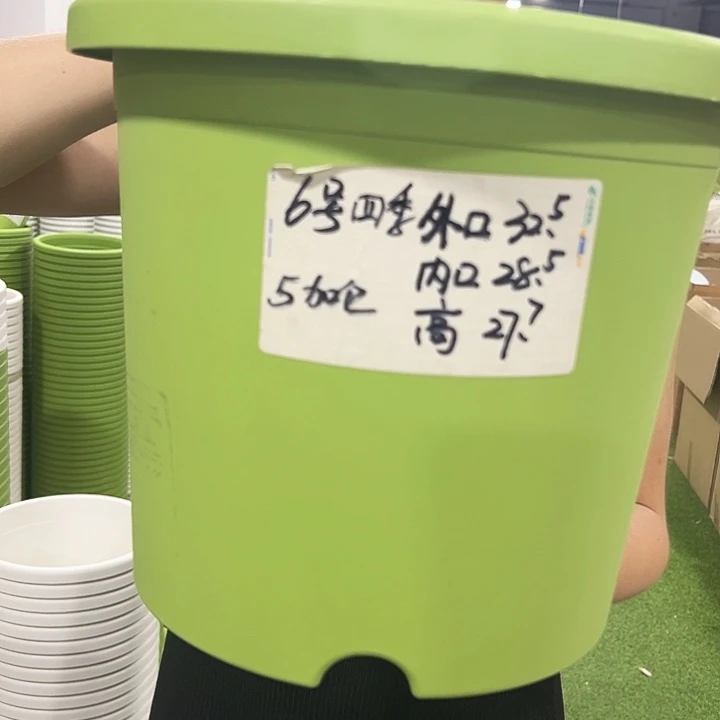 特价6号口32高27.7果绿色7支无托