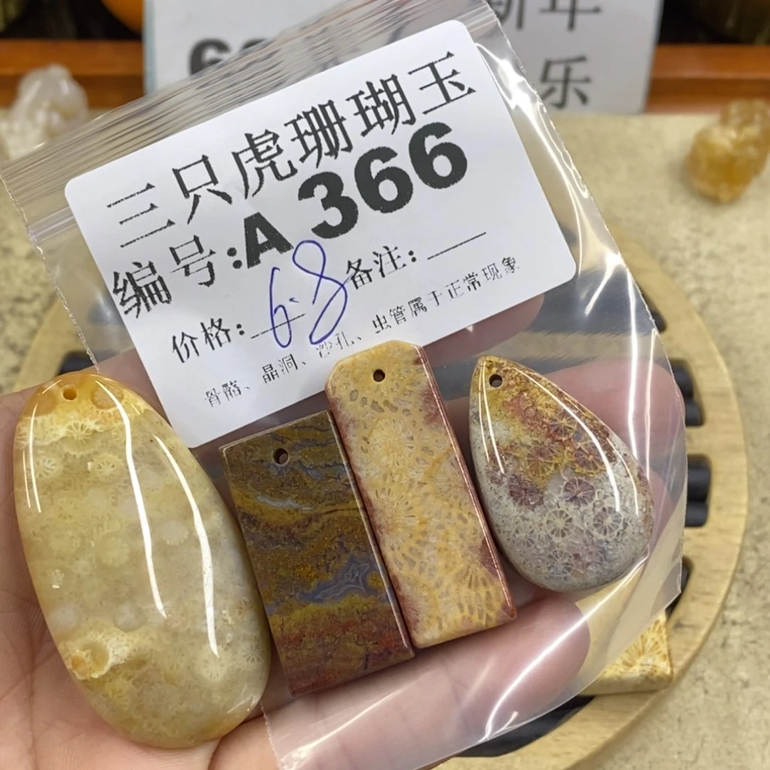 硅化珊瑚（珊瑚玉）1未镶嵌元*