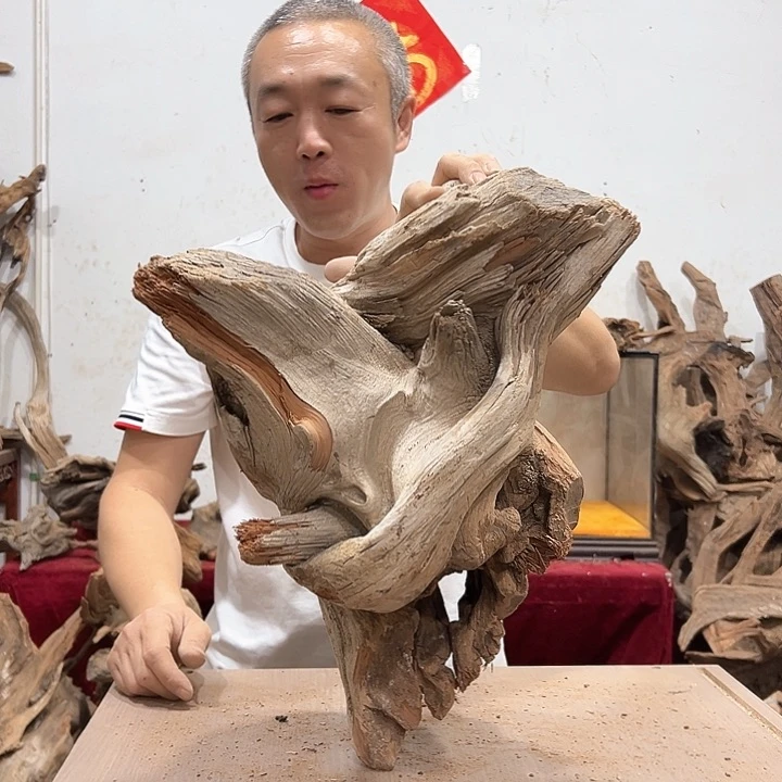 柏木轻**?我们都是好孩子呀我也
