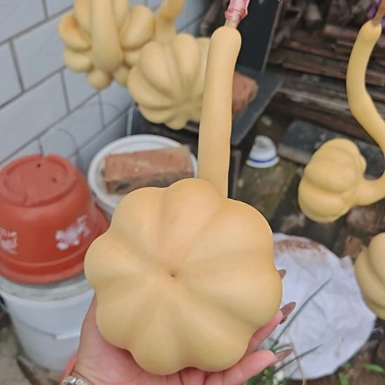 ღ***东直播间价格链接专用