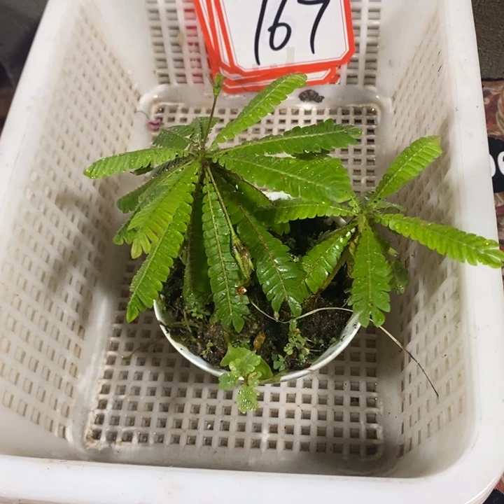 赵***姐无花朵退款拉黑拉黑167