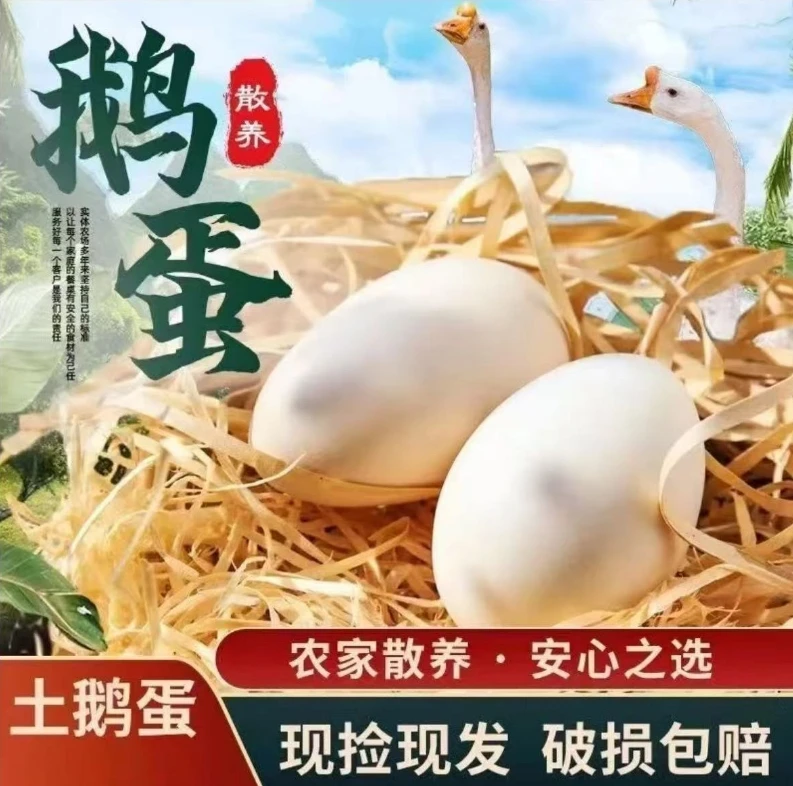 【拍6枚送6枚】现捡谷物土鹅蛋农家单黄鹅蛋大鹅蛋80g-100g破损包赔
