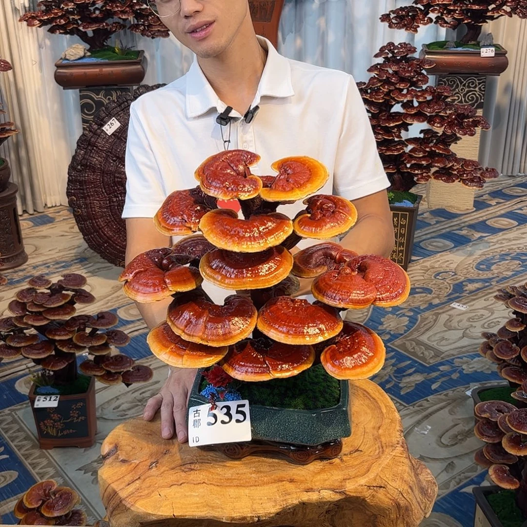 无花朵88888888888888