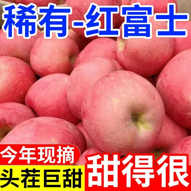 山东红富士苹果新鲜脆甜多汁香甜可口当季水果