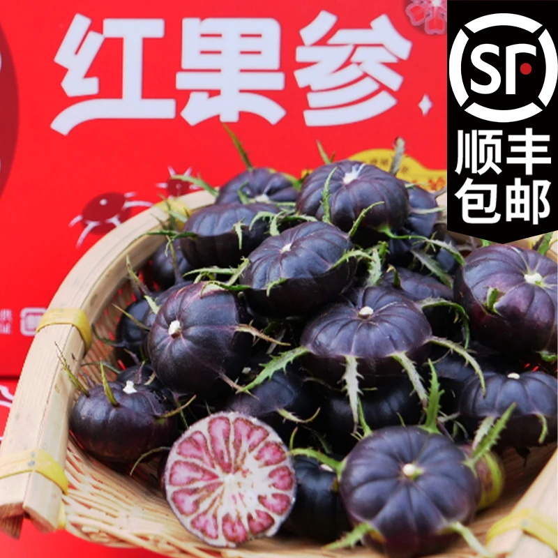 V5【顺丰包邮】云南文山红果参水果马关红果参蜘蛛果算盘果500g大果