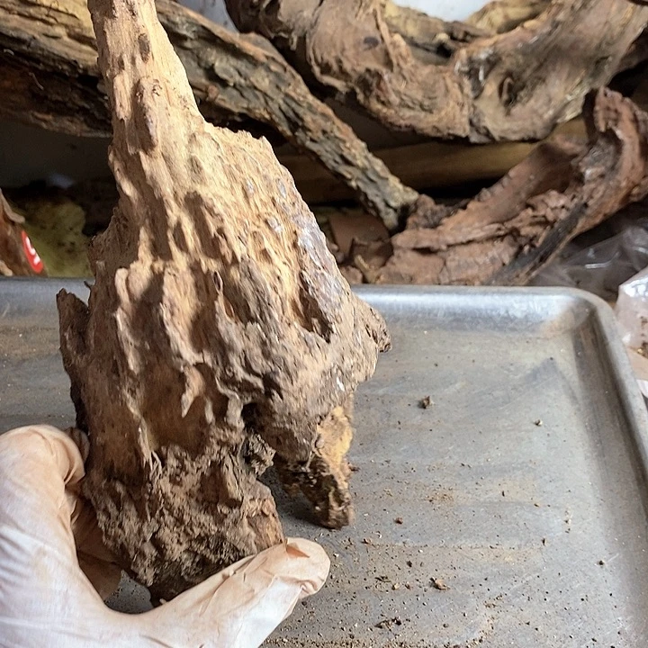 黄花梨/降香黄檀阿*