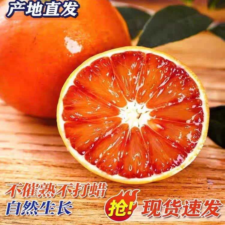 正宗四川塔罗科血橙新鲜水果现摘先发自然生长皮薄多汁酸甜可口