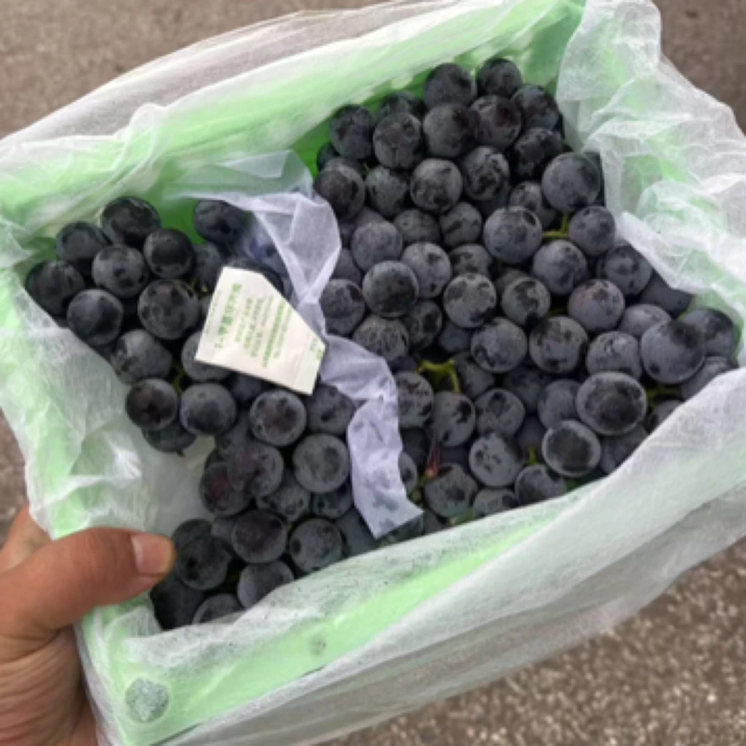 (小美仁优选)蓝莓葡萄，3.3斤一筐吉林省