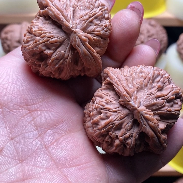 抢吧抢吧抢吧抢吧抢吧