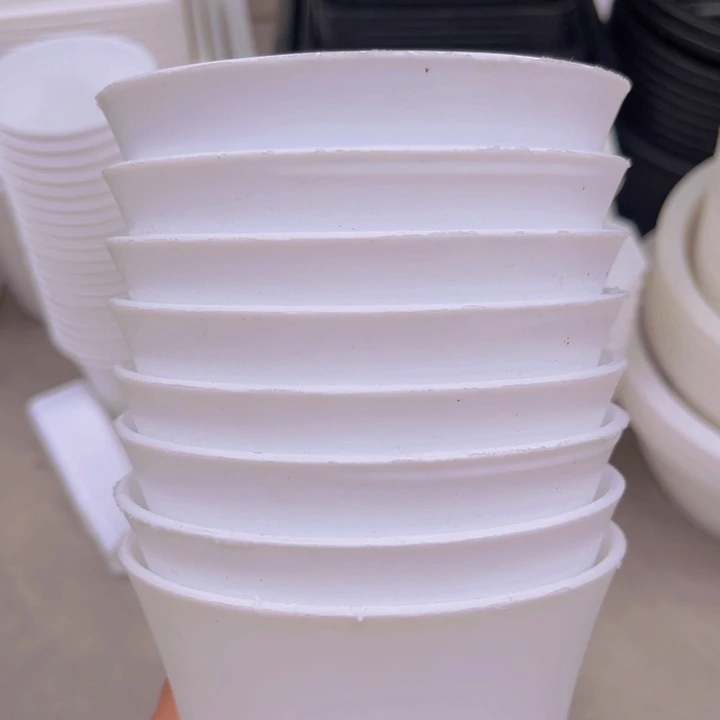 白万象口11高12一组10