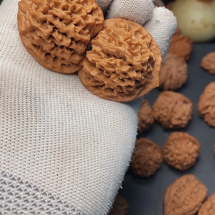 把件文玩核桃贝**?秦岭秦闷