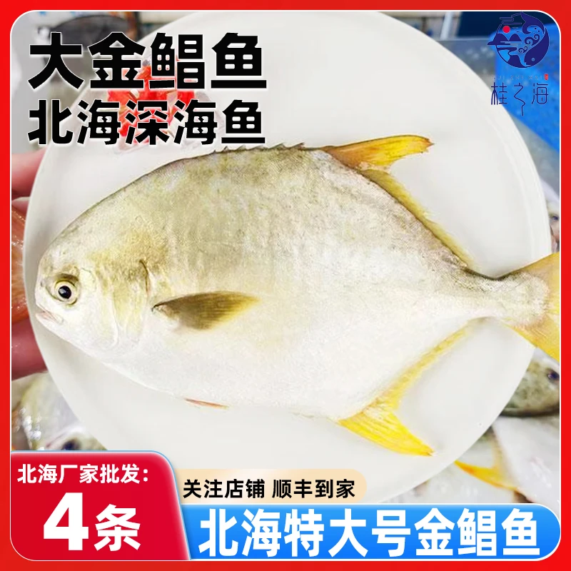北海金鲳鱼新鲜冷冻深海鱼鲜活冰鲜鲳鱼平鱼顺丰包邮特大号金昌鱼