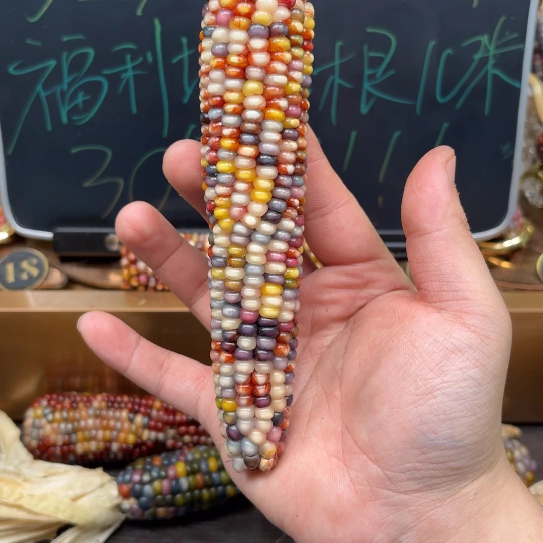 柏香籽/百香籽吊坠遗*