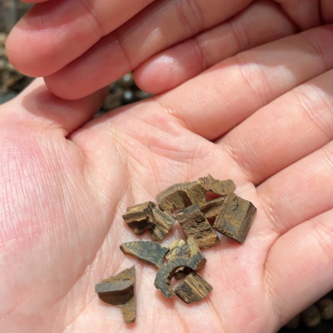 沉香吊坠达拉根沉香2g