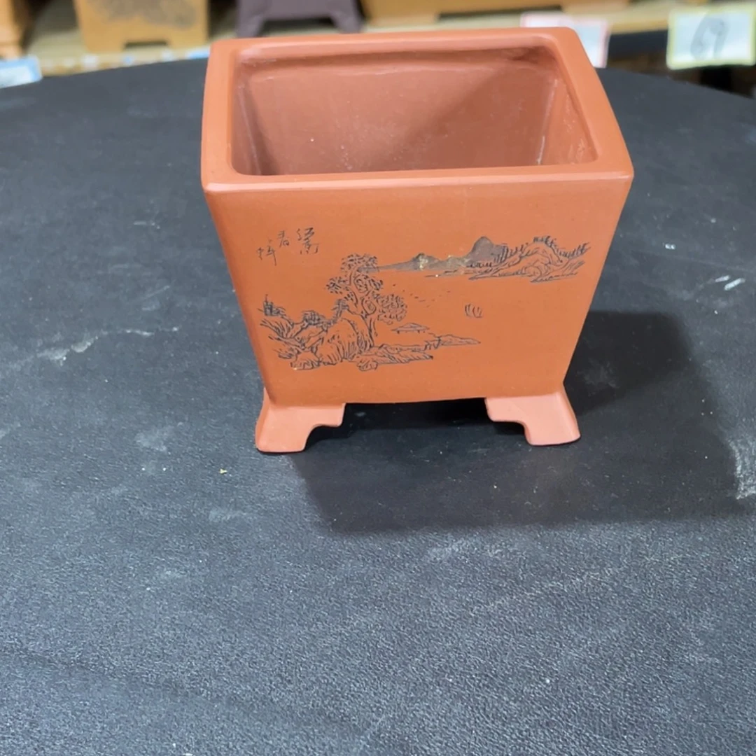 紫砂花盆我不敢看