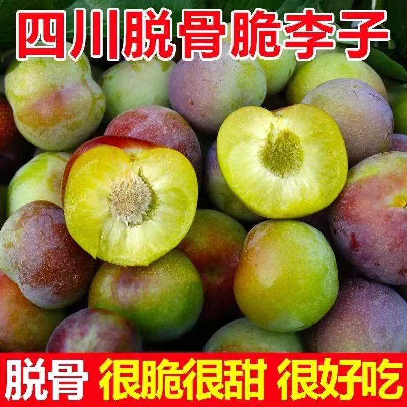 四川新鲜应季半边红茵红李脱骨脆甜多汁爽口水果