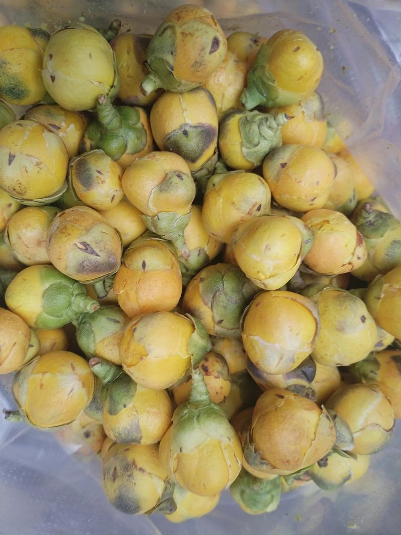 云南土特产≈[景≈查≈花]非花菇