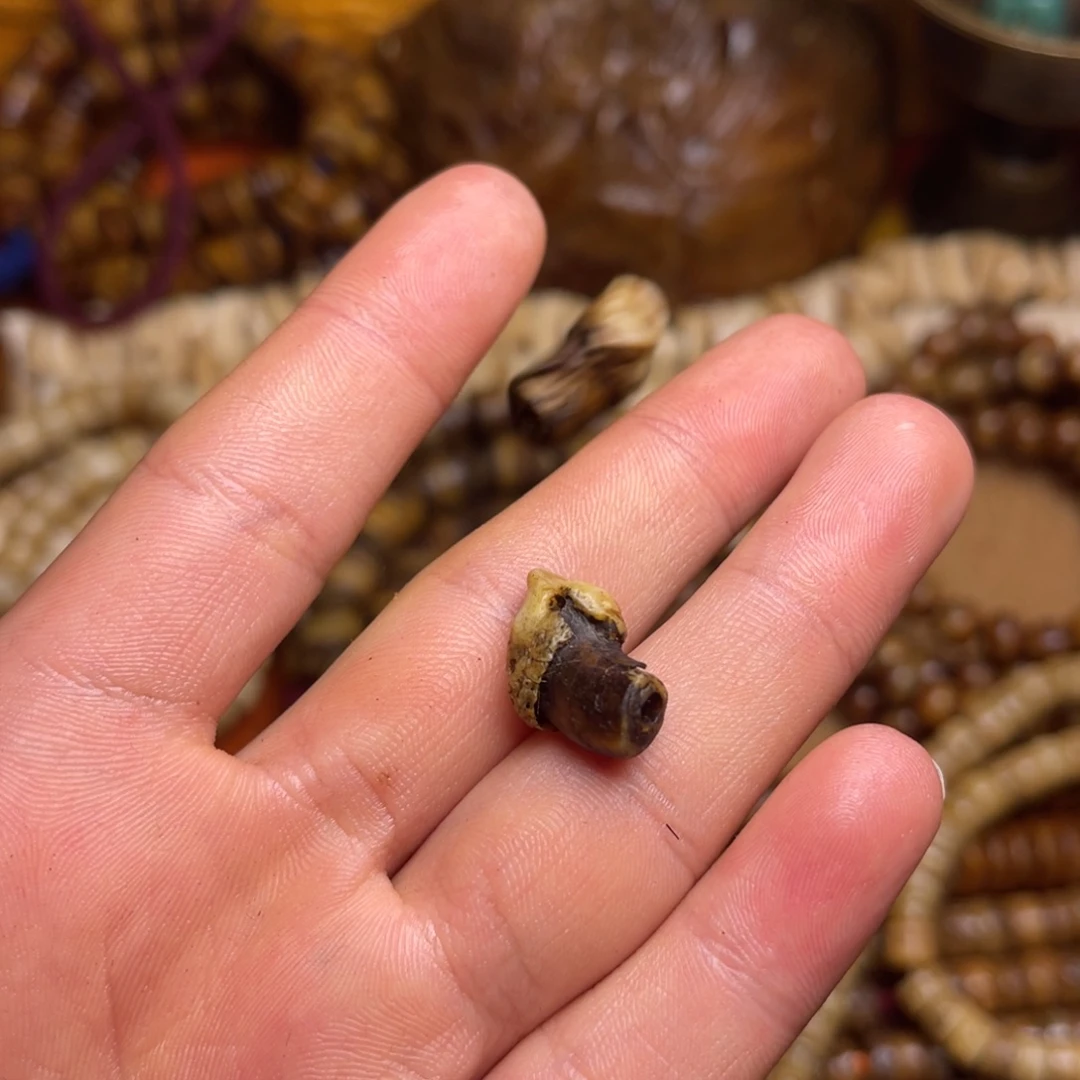 人***短好有v有v有v有v有v有v