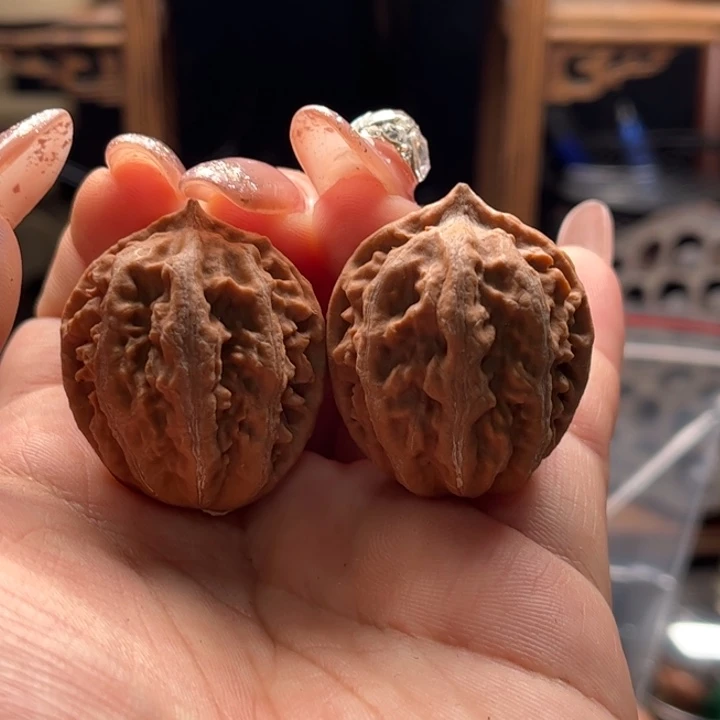 文玩核桃把件楸大胖1