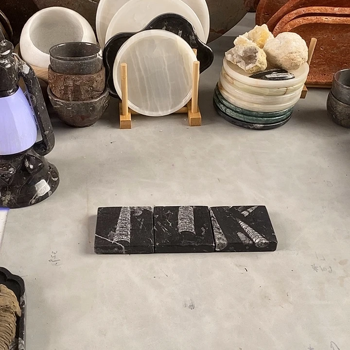 雨***林化石角石角石杯垫