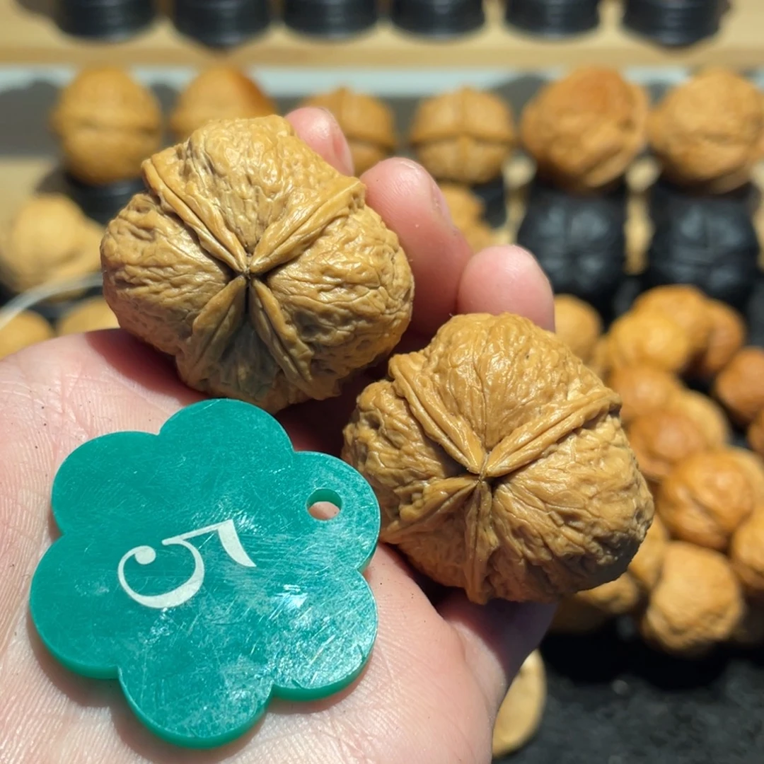 特色四棱核桃35。