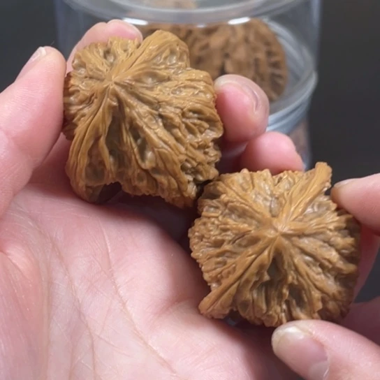 核桃手串/手链半**海火焰马蹄狮子头