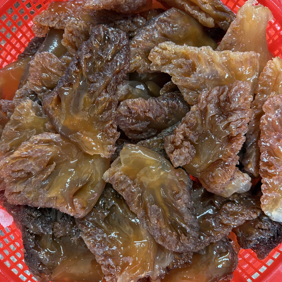 辽宁营口纯野生海蜇大角