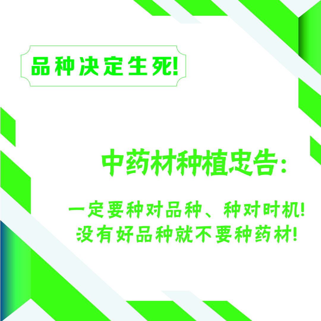 药材种苗5000定金, 以及咨询服务
