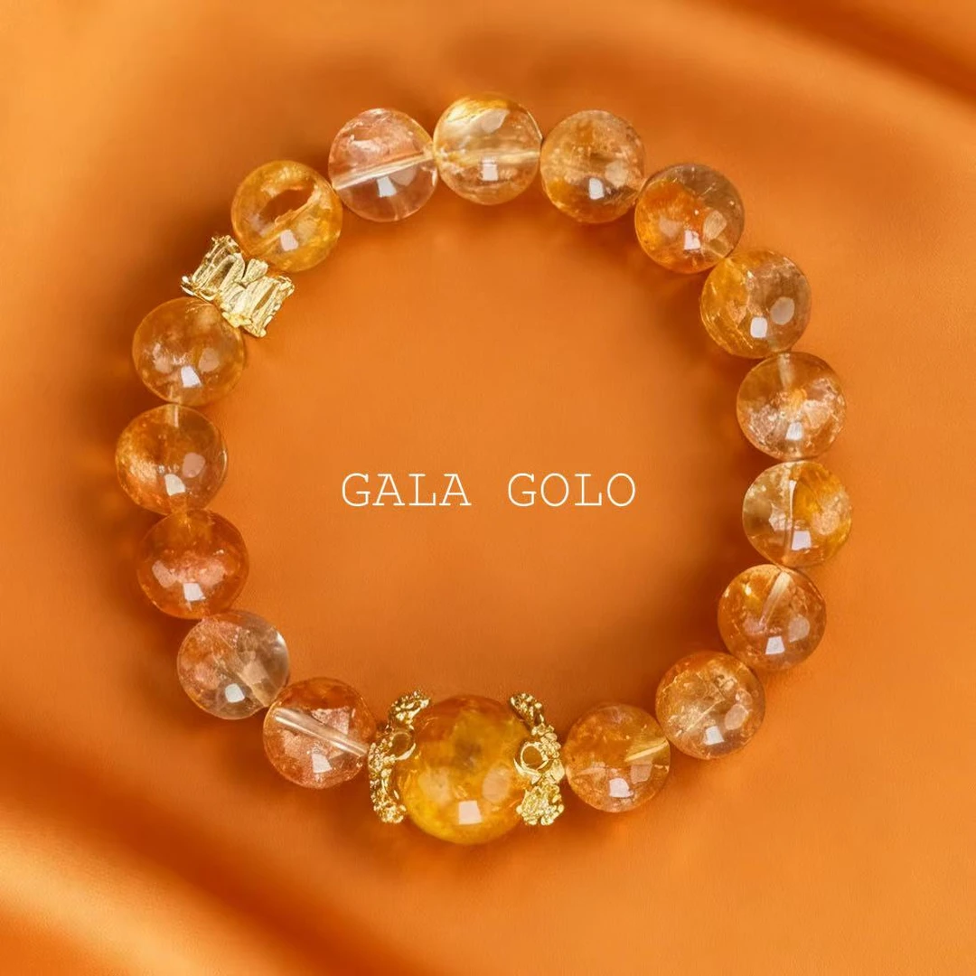 「胶花」GALA GOLO