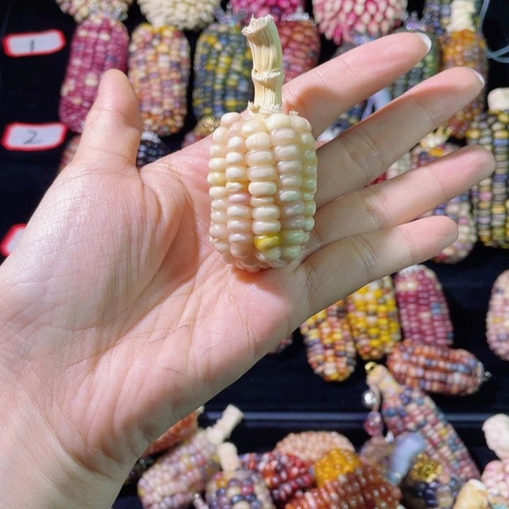 阳***光木111111111111111111111111