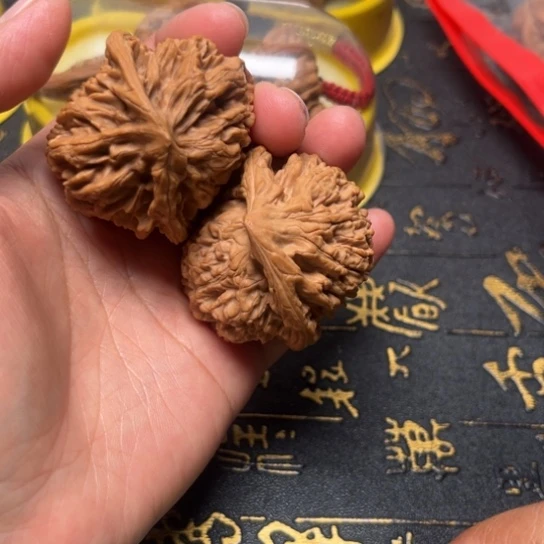 异形蛇71尺全品无修