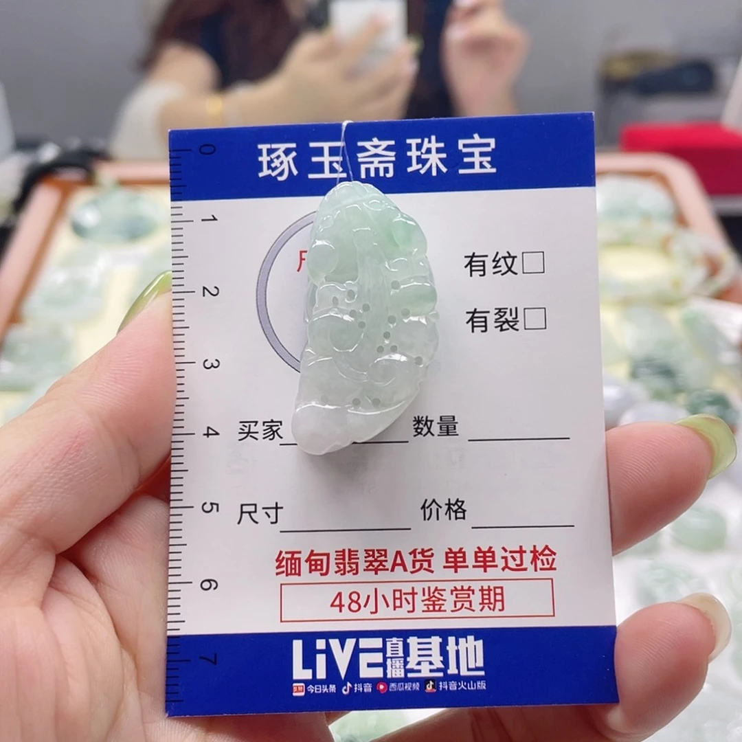 颈饰未镶嵌翡翠貔貅