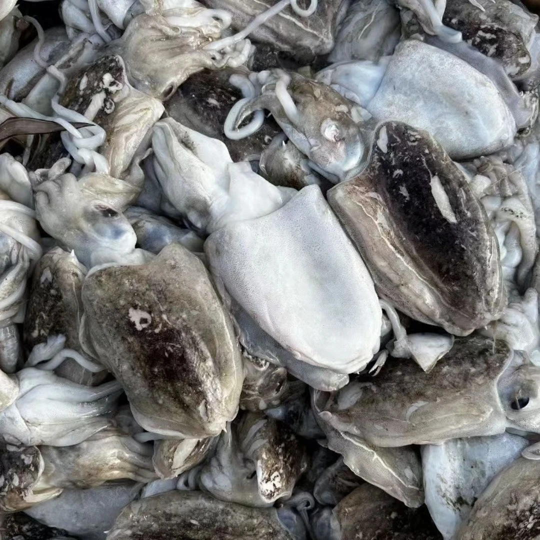 （一斤30个左右）渤海湾墨鱼仔小墨鱼小乌贼2斤装 顺丰包邮