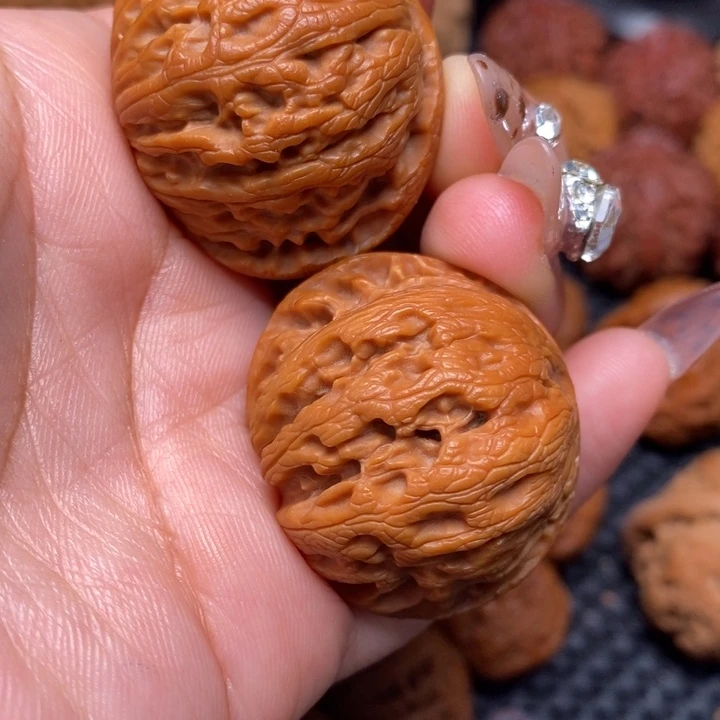 秦岭野生0000000117