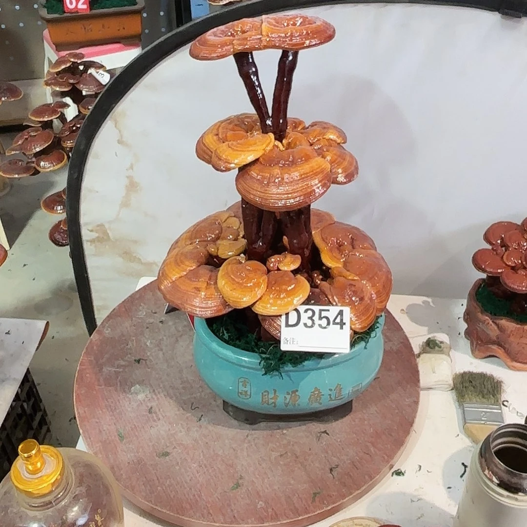 无花朵灵芝888888888888888888