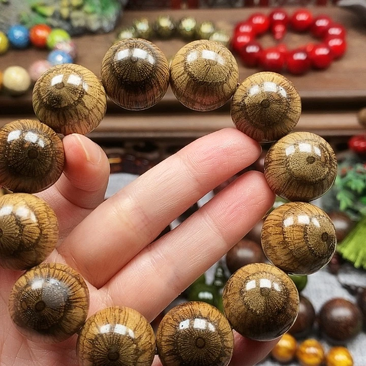 温***波藤类手串/手链买麻藤1.5