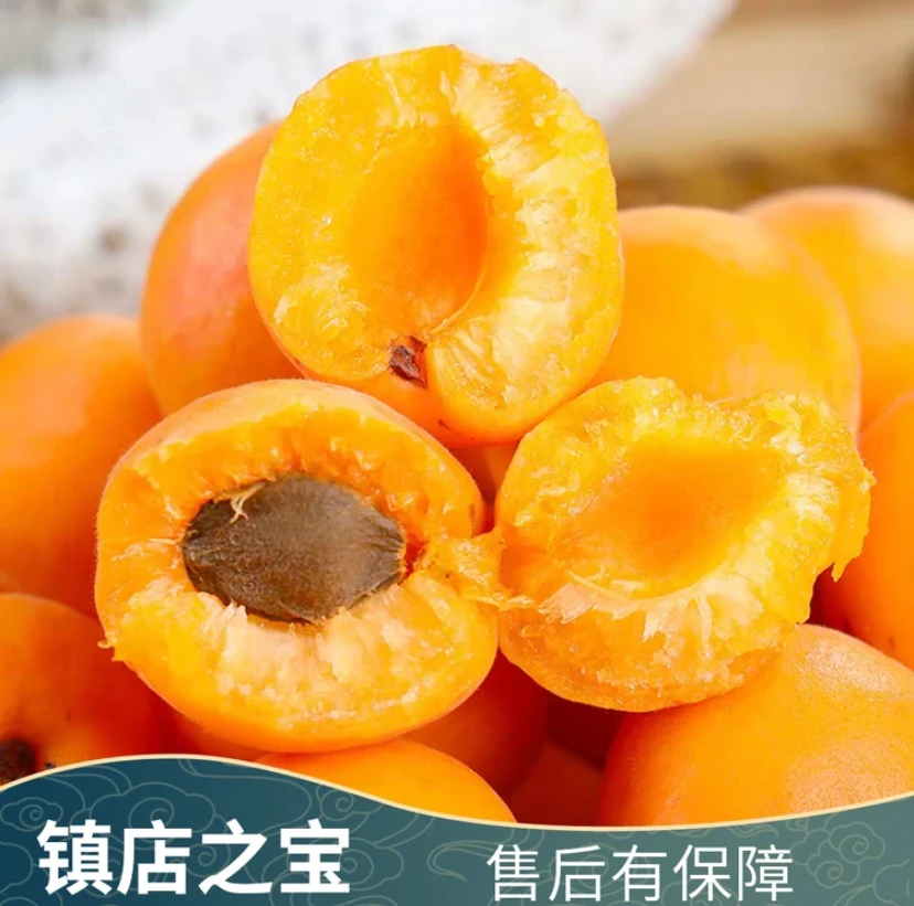 新疆小白杏现摘现发