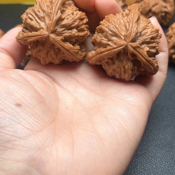 核桃44尺白狮子拼接三棱