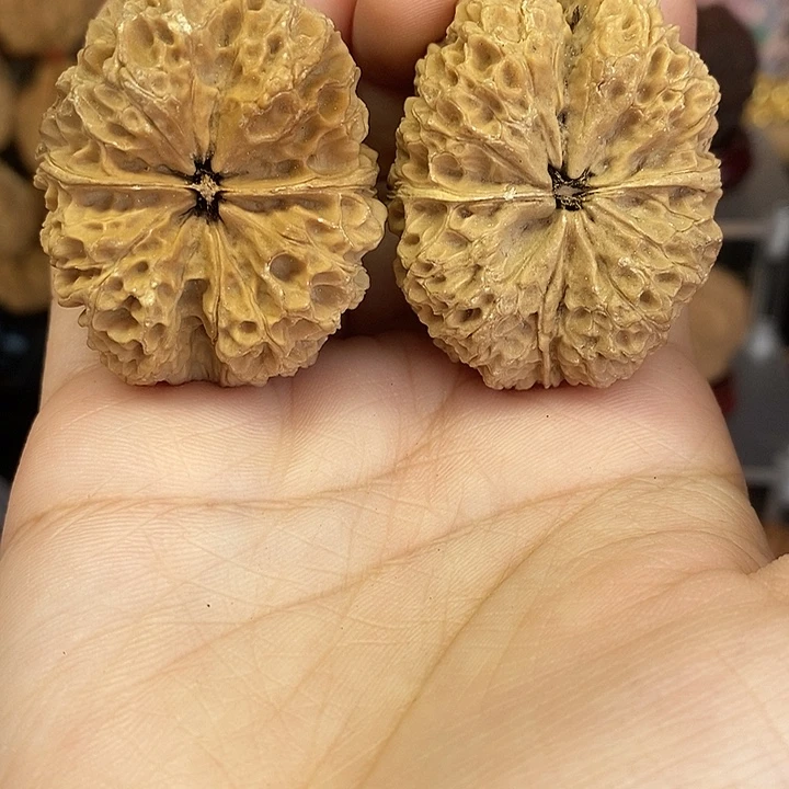 文玩核桃吊坠10珊瑚貔貅微瑕