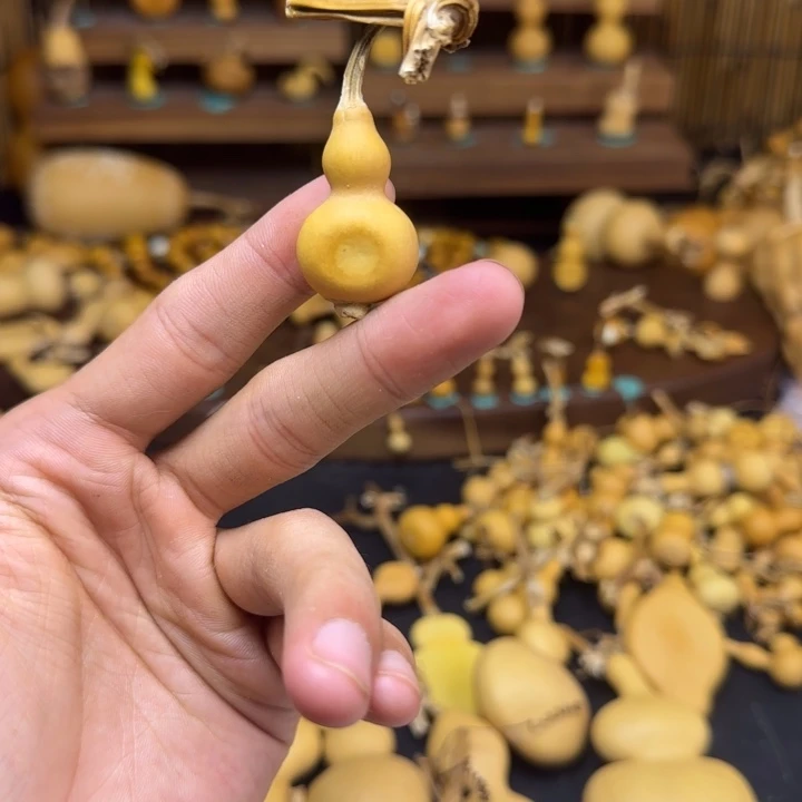 W***s啊啊啊爸爸姥姥酷兔兔天
