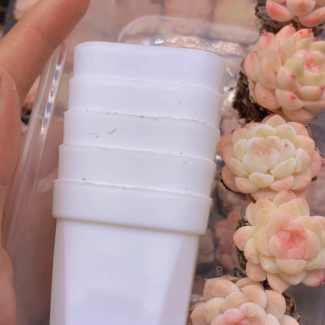 我要去看你了啊我的032