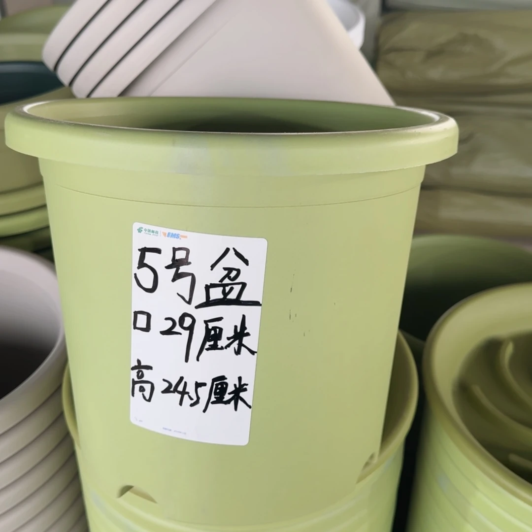 塑料四季5号果绿6个带拖