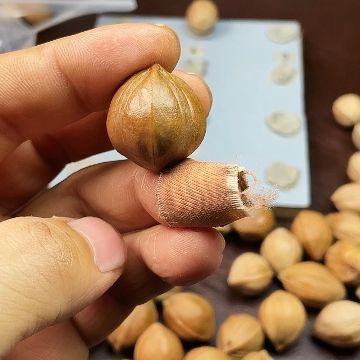 无***w橄榄核手串德庆王四花三通单颗