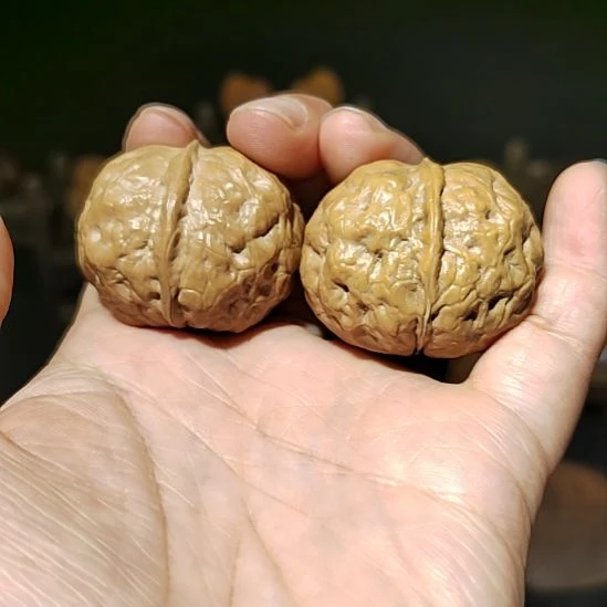 把件文玩核桃福利狮子头37尺