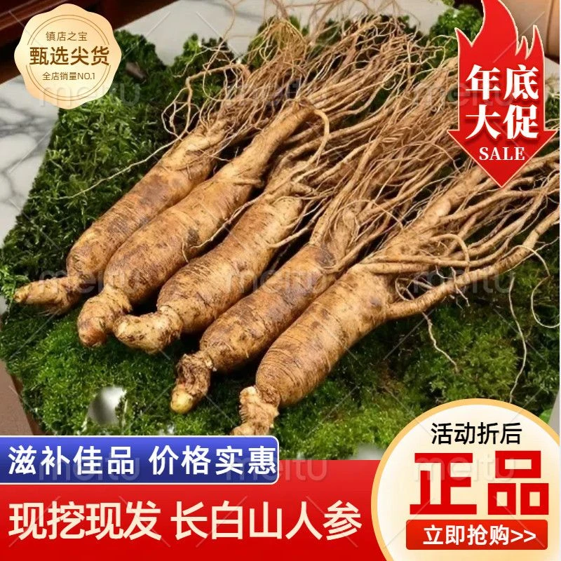 长白山精品鲜人参保鲜食用养生泡酒煲汤煮粥营养佳品