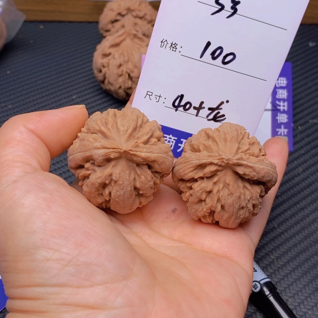 文玩核桃霸王龙核桃