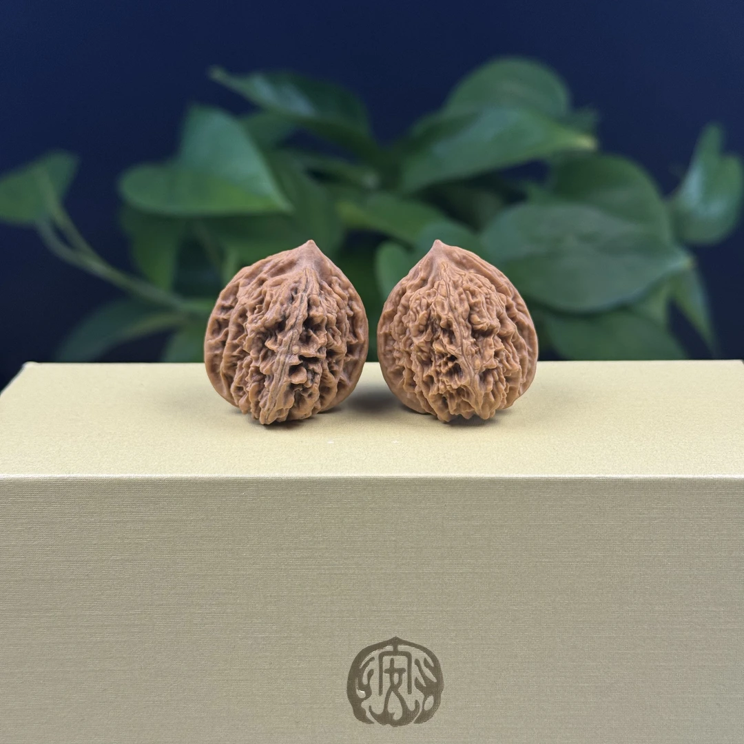 全品无修 黑山寨原树红龙 HL-38