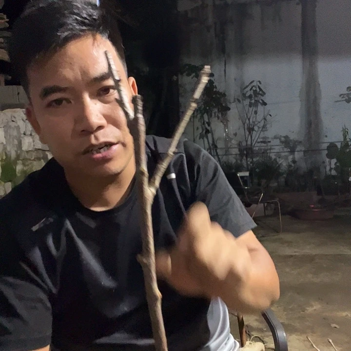当前无花栽培后可以开花260