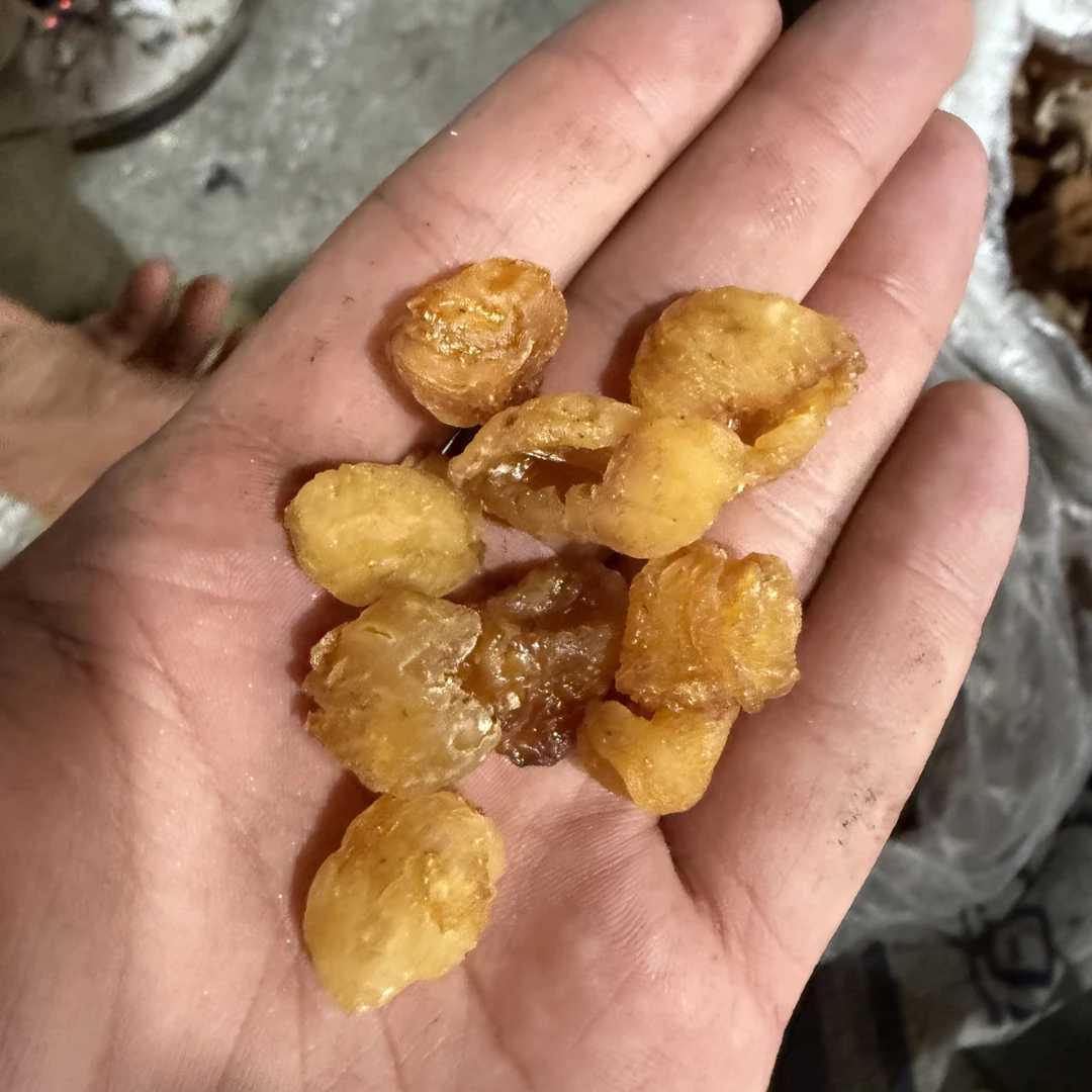云南超市土特产—桂圆肉